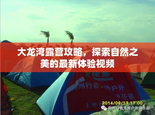 大龍灣露營攻略，探索自然之美的最新體驗視頻