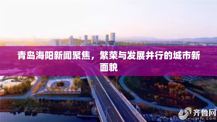 青島海陽(yáng)新聞聚焦，繁榮與發(fā)展并行的城市新面貌