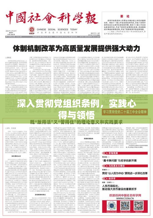 深入貫徹黨組織條例，實(shí)踐心得與領(lǐng)悟