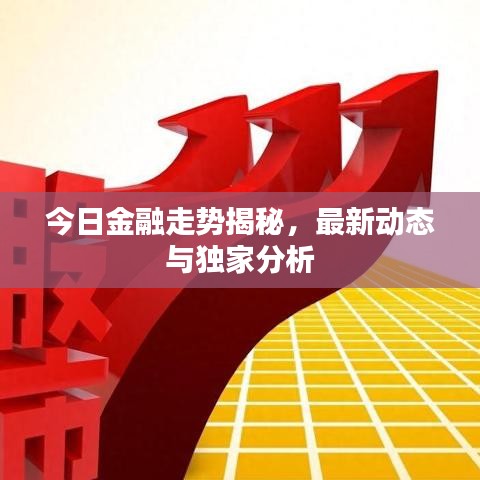 今日金融走勢揭秘，最新動態(tài)與獨(dú)家分析
