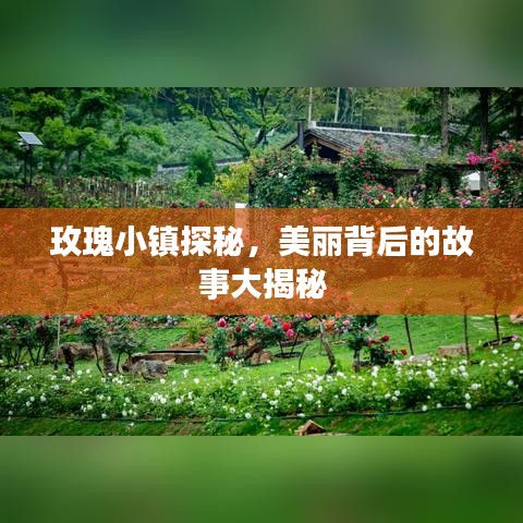 玫瑰小鎮(zhèn)探秘，美麗背后的故事大揭秘