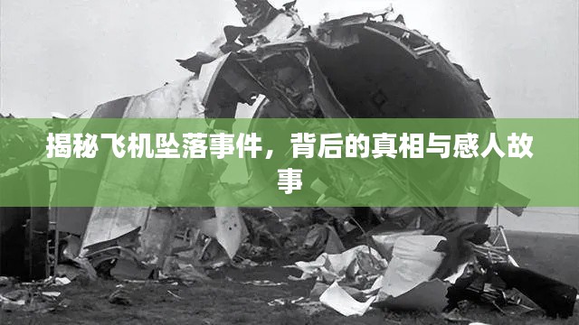 揭秘飛機(jī)墜落事件，背后的真相與感人故事
