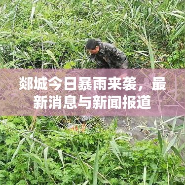 郯城今日暴雨來襲，最新消息與新聞報(bào)道