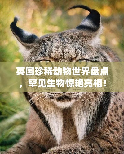 第385頁