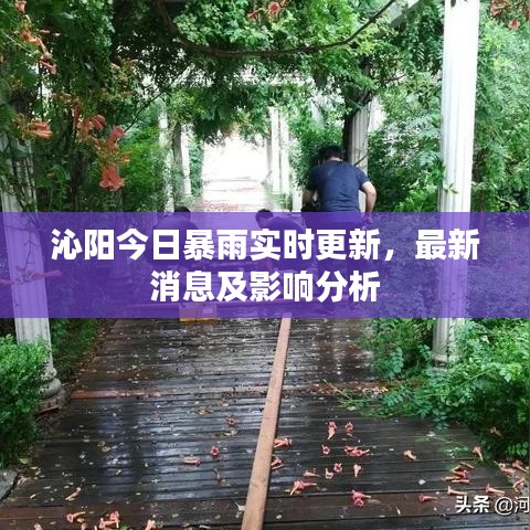 沁陽今日暴雨實(shí)時更新，最新消息及影響分析