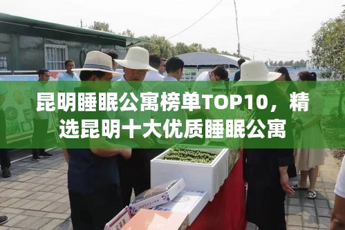 昆明睡眠公寓榜單TOP10，精選昆明十大優(yōu)質(zhì)睡眠公寓