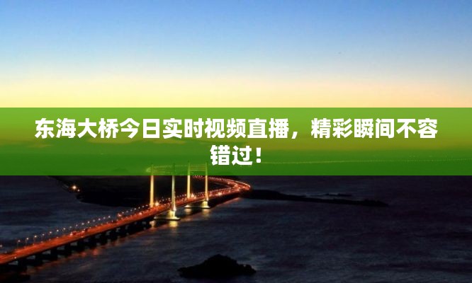 東海大橋今日實(shí)時(shí)視頻直播，精彩瞬間不容錯(cuò)過(guò)！