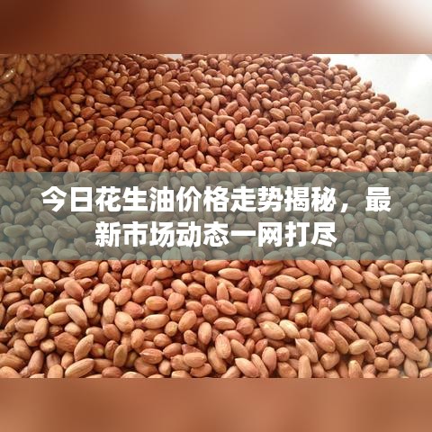 今日花生油價格走勢揭秘，最新市場動態(tài)一網(wǎng)打盡