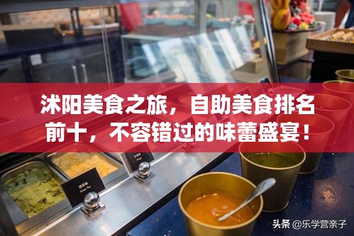 沭陽美食之旅，自助美食排名前十，不容錯過的味蕾盛宴！
