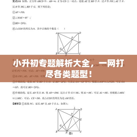小升初專題解析大全，一網(wǎng)打盡各類題型！