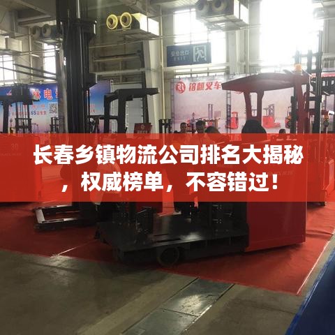 長(zhǎng)春鄉(xiāng)鎮(zhèn)物流公司排名大揭秘，權(quán)威榜單，不容錯(cuò)過！