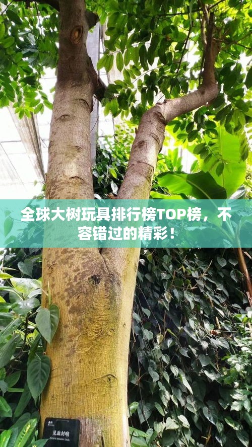 全球大樹玩具排行榜TOP榜，不容錯過的精彩！