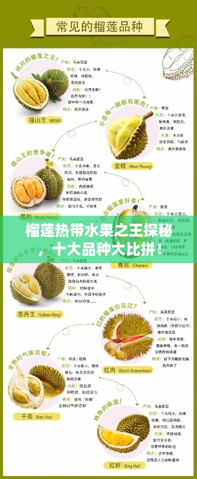 榴蓮熱帶水果之王探秘，十大品種大比拼！