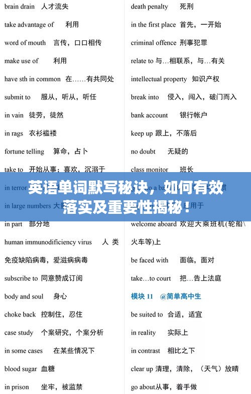 英語單詞默寫秘訣，如何有效落實及重要性揭秘！