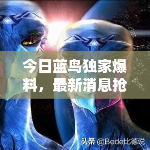 今日藍(lán)鳥獨(dú)家爆料，最新消息搶先看！