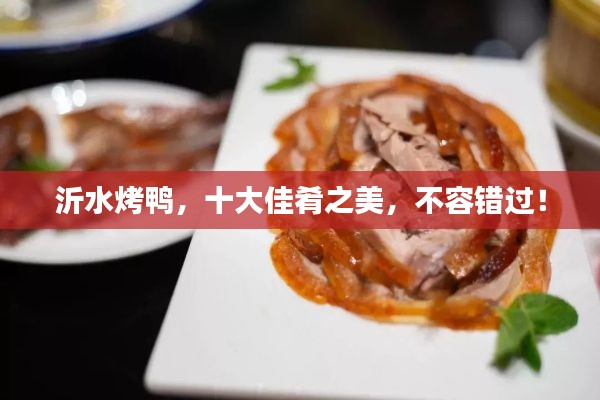 沂水烤鴨，十大佳肴之美，不容錯過！