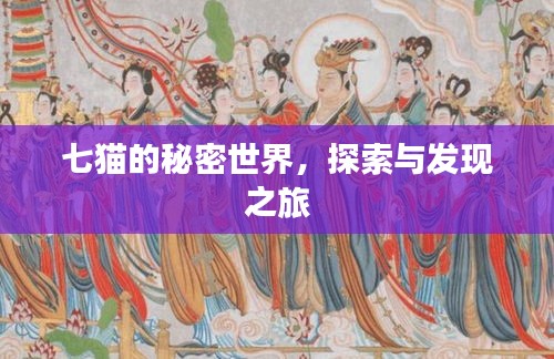 七貓的秘密世界，探索與發(fā)現(xiàn)之旅