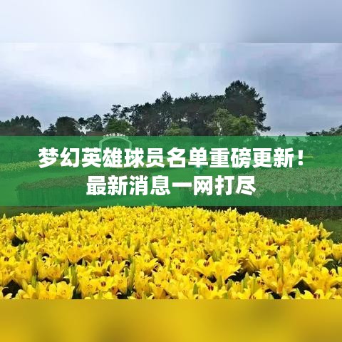 夢(mèng)幻英雄球員名單重磅更新！最新消息一網(wǎng)打盡