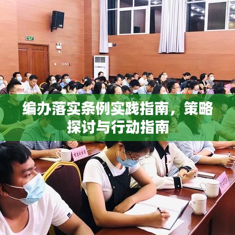 編辦落實條例實踐指南，策略探討與行動指南