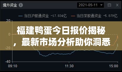 福建鴨蛋今日報(bào)價(jià)揭秘，最新市場分析助你洞悉行情！