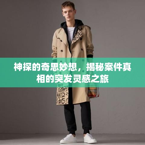 神探的奇思妙想，揭秘案件真相的突發(fā)靈感之旅