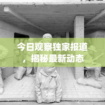 今日觀察獨(dú)家報(bào)道，揭秘最新動(dòng)態(tài)