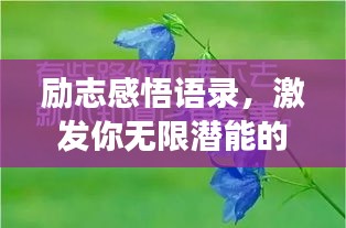 勵(lì)志感悟語(yǔ)錄，激發(fā)你無(wú)限潛能的深層啟示