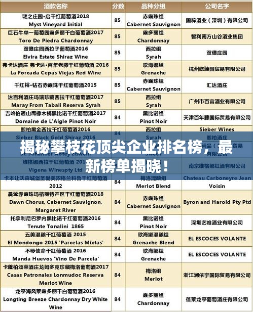 揭秘攀枝花頂尖企業(yè)排名榜，最新榜單揭曉！