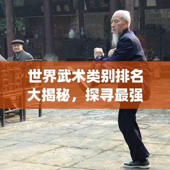 世界武術(shù)類別排名大揭秘，探尋最強武術(shù)流派！