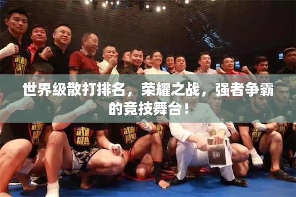 世界級散打排名，榮耀之戰(zhàn)，強者爭霸的競技舞臺！