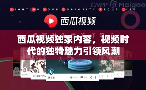 西瓜視頻獨(dú)家內(nèi)容，視頻時(shí)代的獨(dú)特魅力引領(lǐng)風(fēng)潮