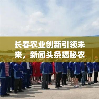 長(zhǎng)春農(nóng)業(yè)創(chuàng)新引領(lǐng)未來(lái)，新聞?lì)^條揭秘農(nóng)業(yè)新動(dòng)向與發(fā)展戰(zhàn)略