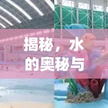 揭秘，水的奧秘與未知探索之旅