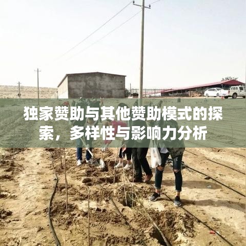獨家贊助與其他贊助模式的探索，多樣性與影響力分析