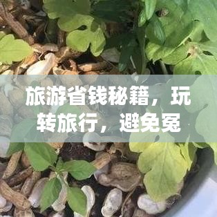 旅游省錢(qián)秘籍，玩轉(zhuǎn)旅行，避免冤枉錢(qián)支出攻略！