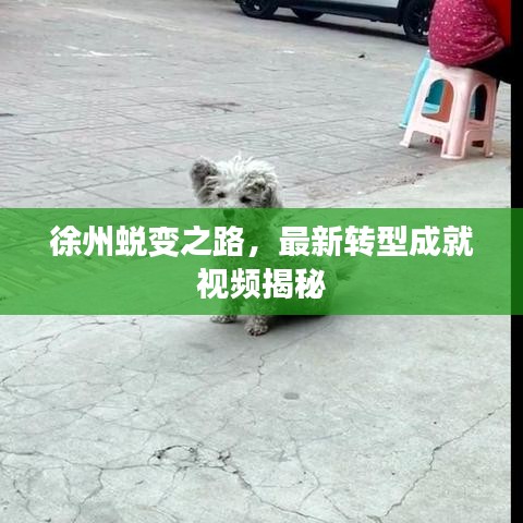 徐州蛻變之路，最新轉型成就視頻揭秘