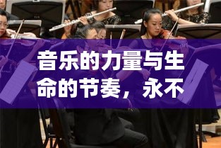 音樂的力量與生命的節(jié)奏，永不斷的琴弦之魅力