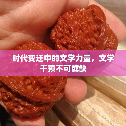 時(shí)代變遷中的文學(xué)力量，文學(xué)干預(yù)不可或缺
