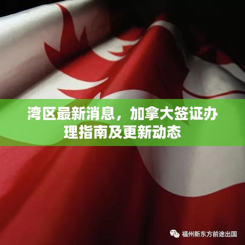 灣區(qū)最新消息，加拿大簽證辦理指南及更新動態(tài)