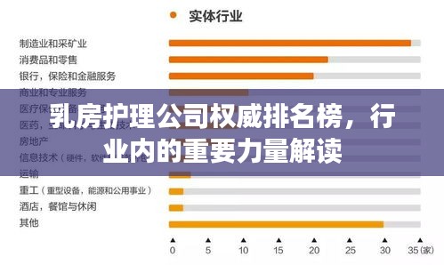 乳房護(hù)理公司權(quán)威排名榜，行業(yè)內(nèi)的重要力量解讀