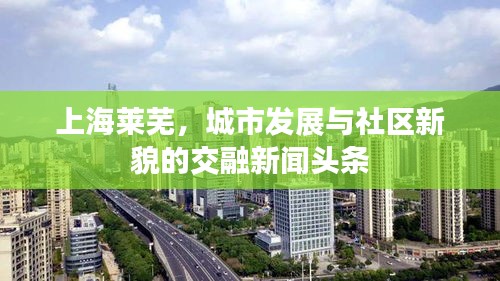 第259頁(yè)