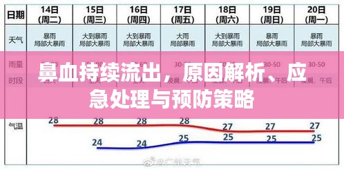 鼻血持續(xù)流出，原因解析、應(yīng)急處理與預(yù)防策略