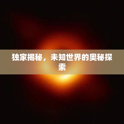獨家揭秘，未知世界的奧秘探索