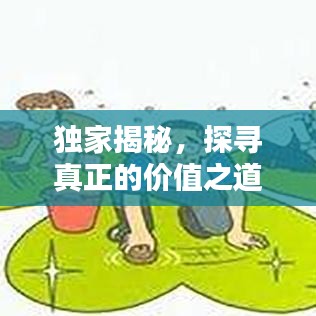 獨(dú)家揭秘，探尋真正的價(jià)值之道