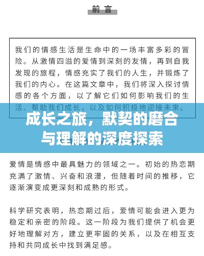 成長之旅，默契的磨合與理解的深度探索
