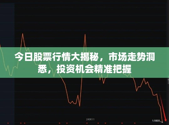 今日股票行情大揭秘，市場(chǎng)走勢(shì)洞悉，投資機(jī)會(huì)精準(zhǔn)把握