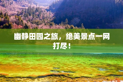 幽靜田園之旅，絕美景點(diǎn)一網(wǎng)打盡！