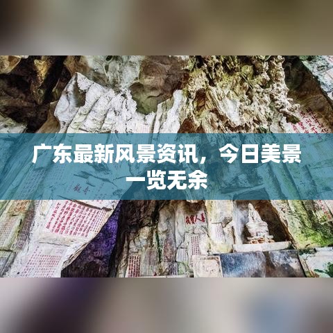 廣東最新風景資訊，今日美景一覽無余