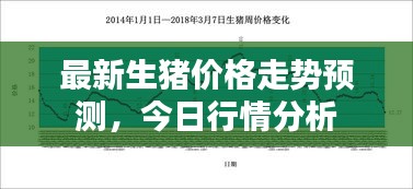 最新生豬價格走勢預測，今日行情分析