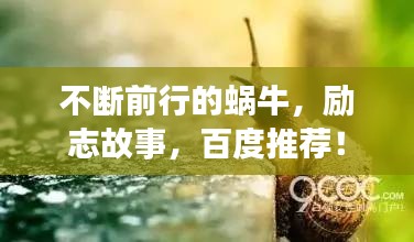 不斷前行的蝸牛，勵志故事，百度推薦！